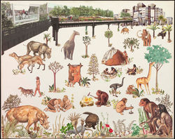 EVOLUTION OF THE HI-LINE