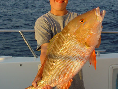 2007