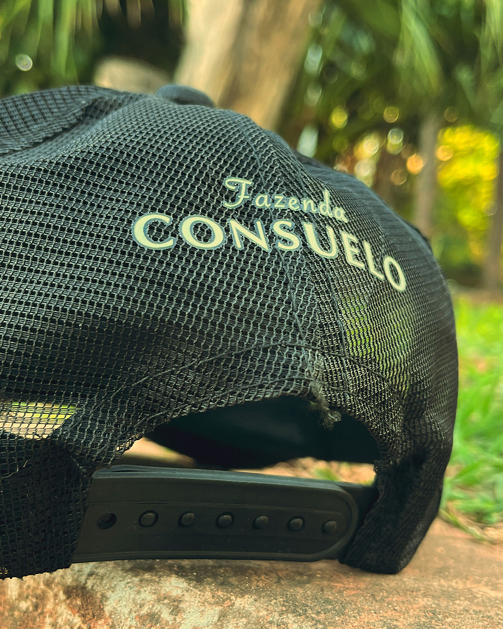Miniatura: Boné Fazenda Consuelo