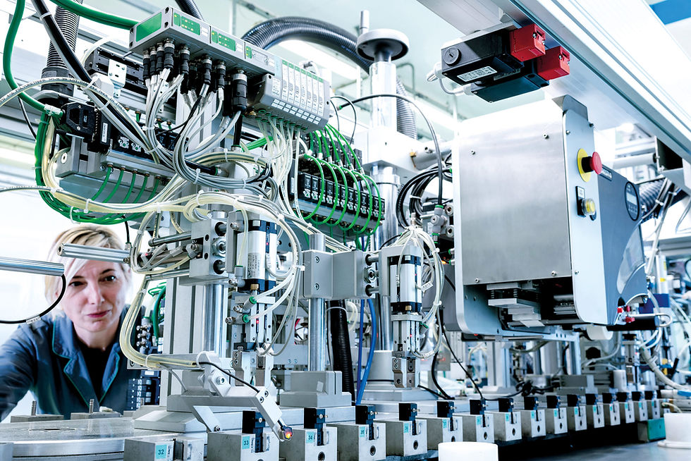 DSC_7393_mod_rgb-scaled (1).jpg