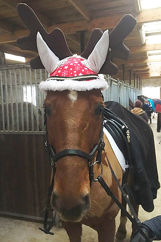 Weihnachtsquadrille 2016 im RVB