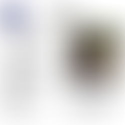 Bodenarbeit mit Dr. Claudia Münch (ausgebucht)