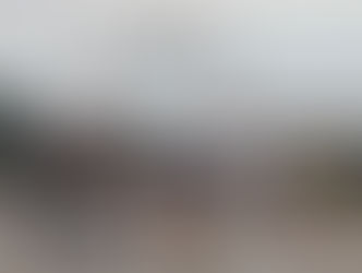 Gänsereiten 11.02.18 im RVB