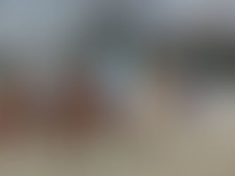 Gänsereiten & Karneval 2017