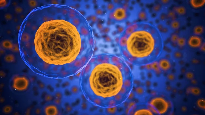 Could Toxins Be Disrupting your Hormones and Causing Weight Gain