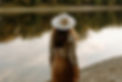 engagements-9078.jpg