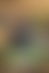 ๐ท๏ธ๐๐ฟ Exploring the Spider Lifecycle with STEM ๐ท๏ธ