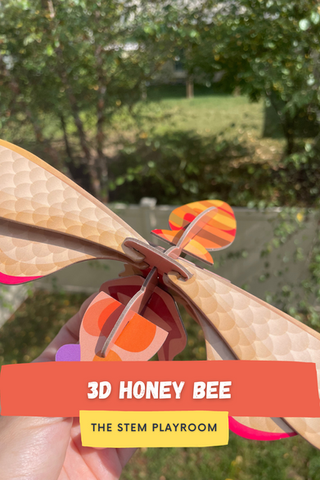 ๐ Make a honey bee with recycled cardboard โป๏ธ
