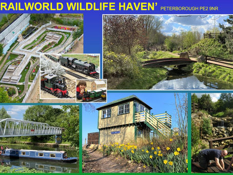 Our Volunteers Open - January 10th 