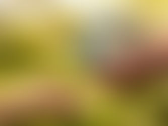 Latest IPCC Report - OUT TODAY - End of February 22