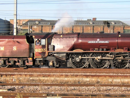 Memories of trains passing the Railworld Wildlife Haven