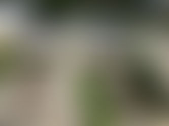 Garden Railway has 2 Tracks of the 6 Planned Running!