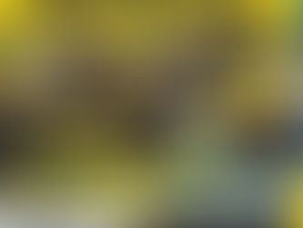 New 2022 Leaflet is in draft at PrintboxUK!