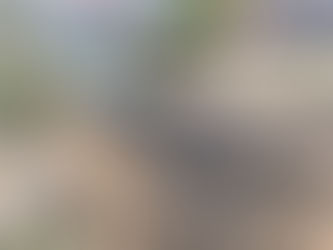 New Open Days for Jan & Feb 2022 - 10:00 till 3:00