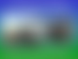 Not Again! Wildlife Haven Project broken into for the 143rd time!! No-one ever caught!