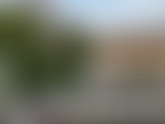 New Open Days for January 2022 - 10:00 till 3:00