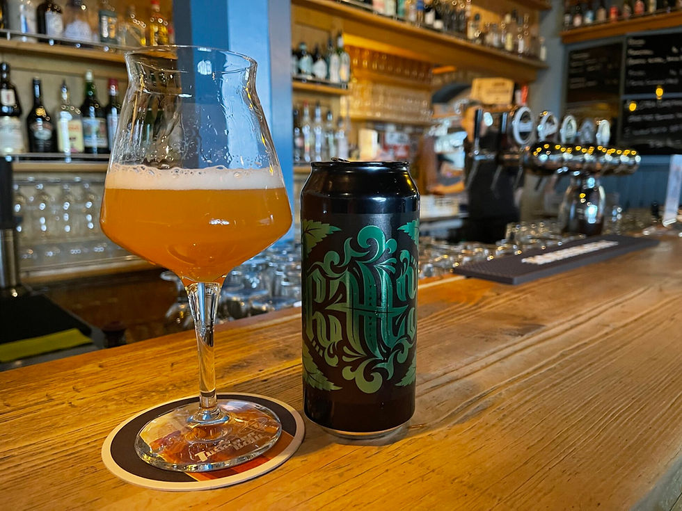 Where to Get a Good Beer in Zurich, Switzerland: The 2026 Beer Lover’s Guide