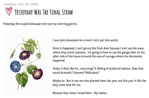 final straw blog 7 30 26.jpg