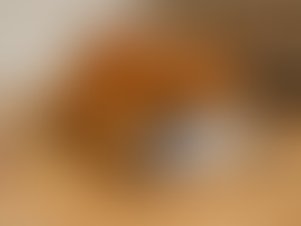 Jouet Pour Chat Une Arme Redoutable Contre L’Obésité Féline