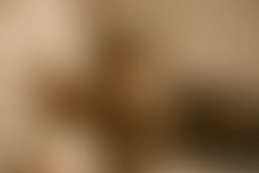 Comportement Du Chat : Pourquoi Mon Chat Ronronne Tout Le Temps ?