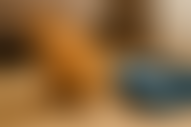 Litière Pour Chat Que Faire S'Il Fait Ses Besoins Hors Du Bac