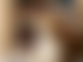 La Psychologie des Vêtements pour Chat