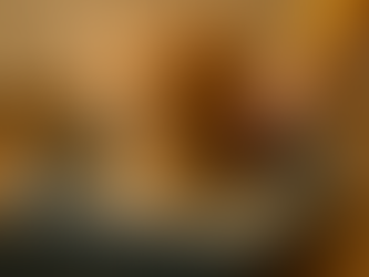 Litière Pour Chat Astuces Pour Économiser Sans Sacrifier Le Confort