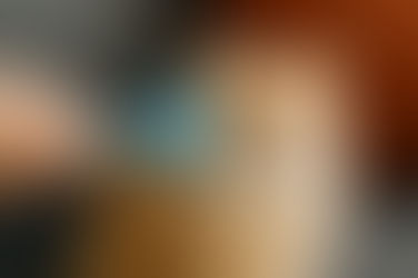 Brosse Pour Chat : Comment Habituer Un Chat Réticent À Celle-ci?