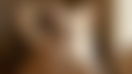 Comportement Du Chat  Ce Qu'il Tente De Vous Dire