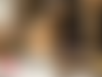 Jouet Pour Chat Les Bienfaits D'un Jeu Pour Minet