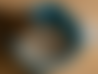 Litière Pour Chat À Quelle Fréquence La Changer Vraiment