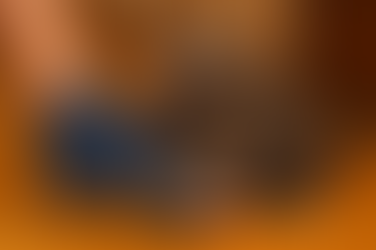 Comportement Du Chat Pourquoi Votre Chat Attaque Vos Pieds