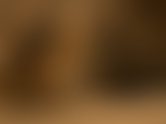 Comportement Du Chat Pourquoi Un Chat Dort-Il Autant