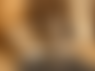 Quelle Litière Pour Chat Choisir Selon La Race Et Le Mode De Vie