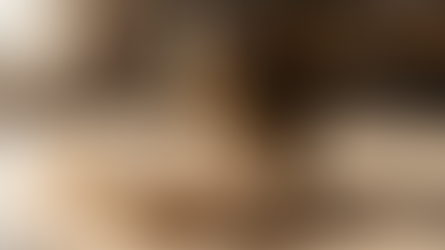 Votre Gamelle Pour Chat  Plus Qu'un Simple Bol 