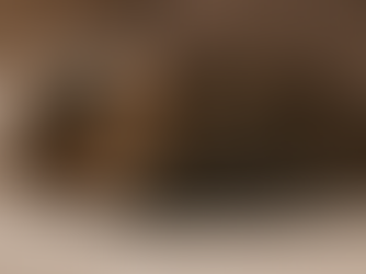 Où Les Chats Aiment-Ils Dormir En 2025?