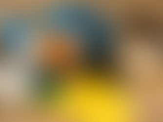 Litière Pour Chat Nettoyer Un Bac Sans Produits Toxiques