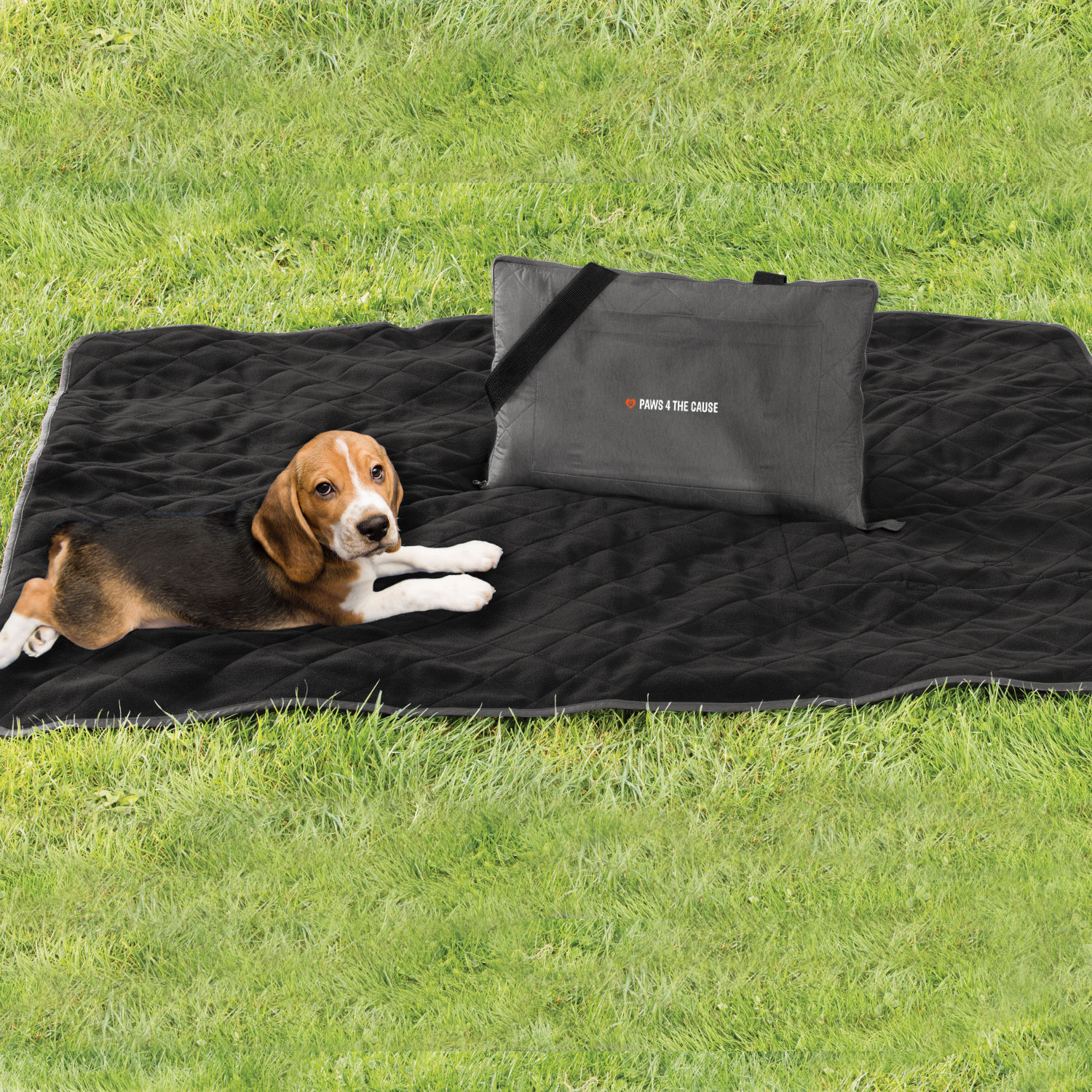 Embroidered PawsTravel Blanket