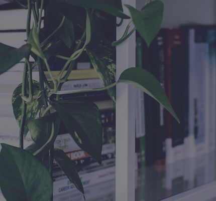 Book Shelf_edited.jpg