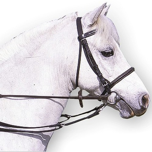 Grass Reins nelsonsequestrian