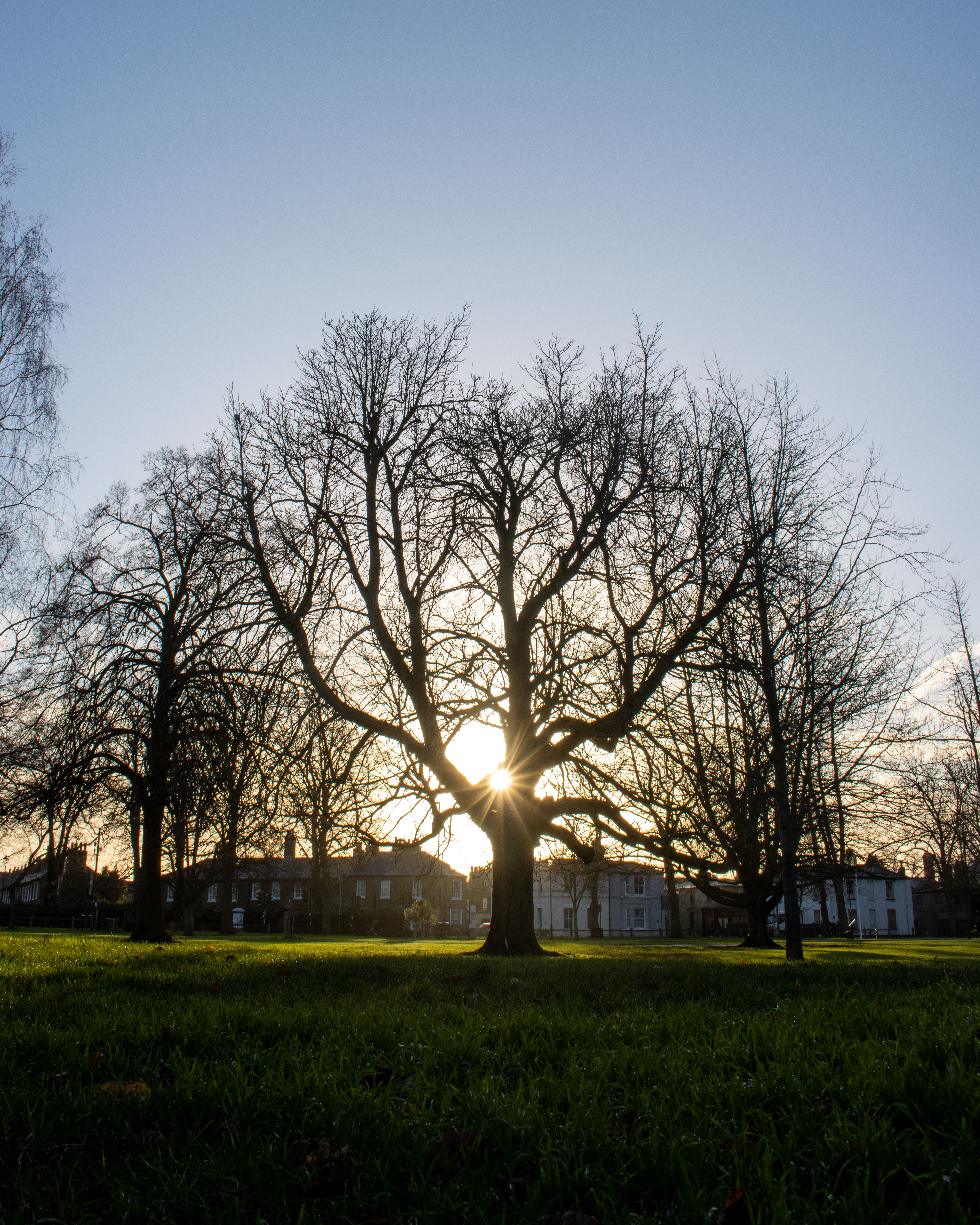A (not so) early morning in the park