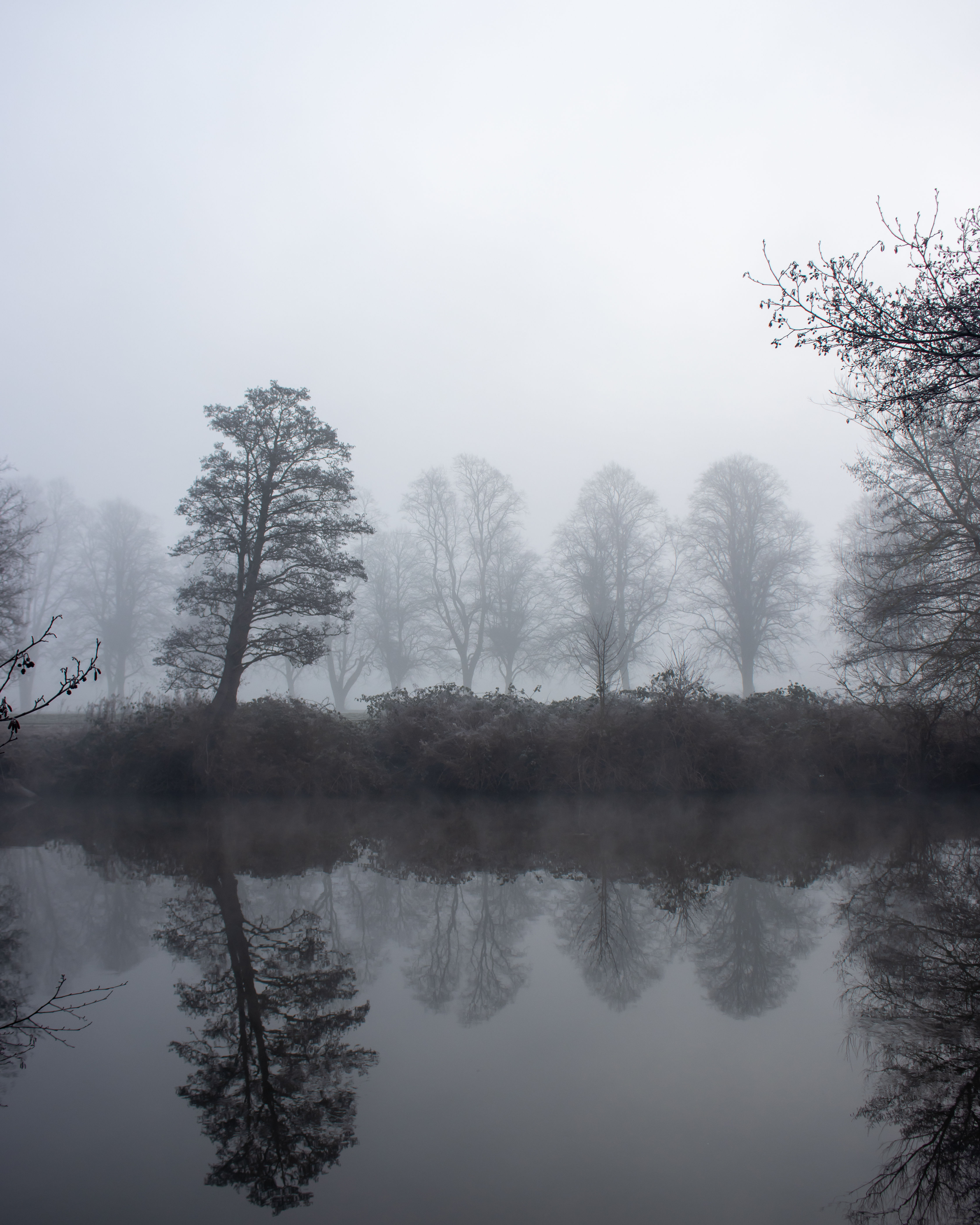 Foggy morning reflections