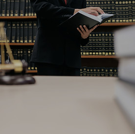 Reviewing the Laws_edited.jpg