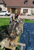 2020-05-08 11.54.11.jpg
