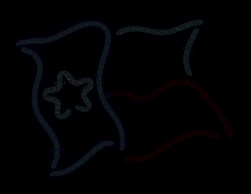 Neon_Texas..gif