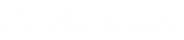 Our Host Committee Text.png