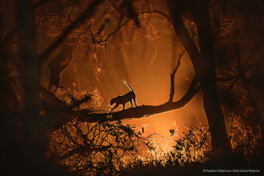 Nadine Villabruna, Solio Game Reserve