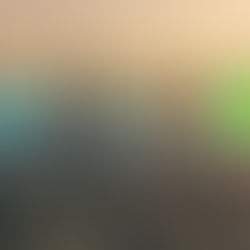 October 2025 Property Monitor Report