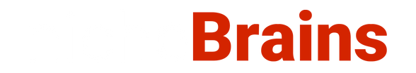 nicheBrains logo