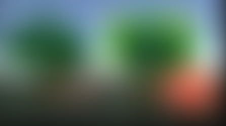 Subsurface Scattering for Foliage, in Unity (WITHOUT RAYTRACING!)